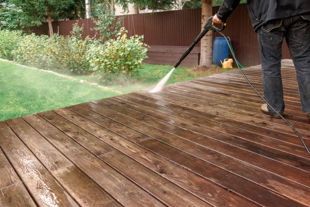 Best Animal Enclosure Cleaning  in Murillo, TX